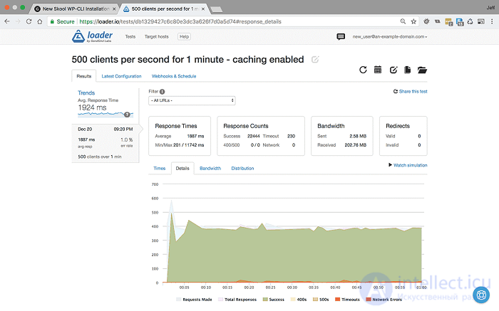 Web Application Performance Optimization