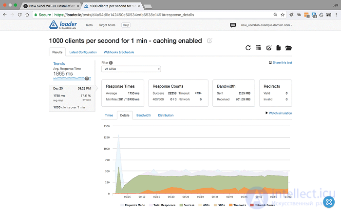 Web Application Performance Optimization