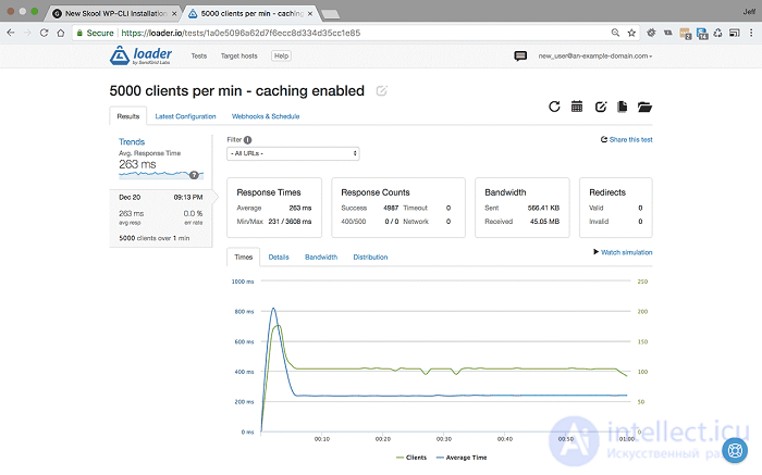 Web Application Performance Optimization