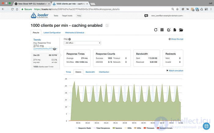 Web Application Performance Optimization