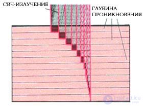 Microwave Oven Repair: Algorithm and Example of Fault Finding