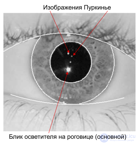 Liveness Detection in Face and Eye Recognition