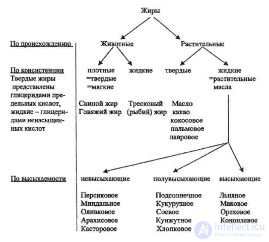 Diet and Metabolism: Catabolism, Anabolism and Protein, Fat and Carbohydrate Metabolism