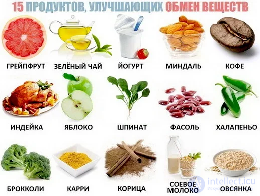 Diet and Metabolism: Catabolism, Anabolism and Protein, Fat and Carbohydrate Metabolism