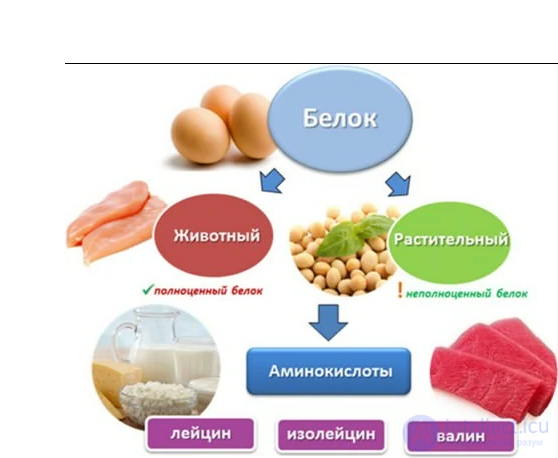 Diet and Metabolism: Catabolism, Anabolism and Protein, Fat and Carbohydrate Metabolism