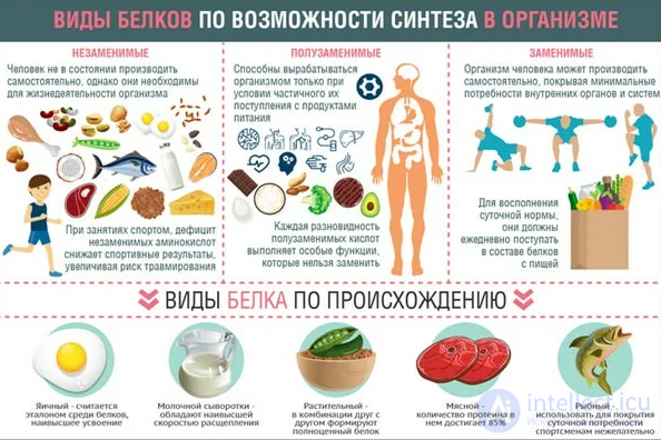 Diet and Metabolism: Catabolism, Anabolism and Protein, Fat and Carbohydrate Metabolism