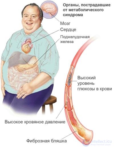 Diet and Metabolism: Catabolism, Anabolism and Protein, Fat and Carbohydrate Metabolism