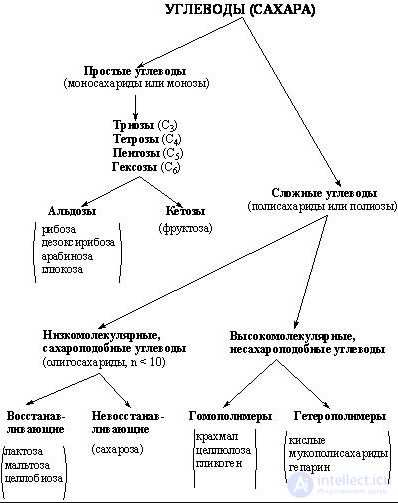 Diet and Metabolism: Catabolism, Anabolism and Protein, Fat and Carbohydrate Metabolism