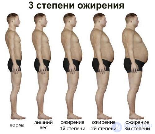 Diet and Metabolism: Catabolism, Anabolism and Protein, Fat and Carbohydrate Metabolism