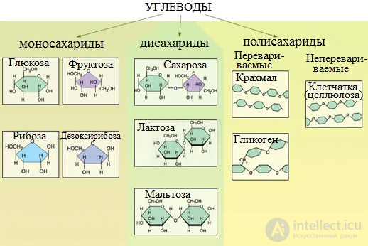 Diet and Metabolism: Catabolism, Anabolism and Protein, Fat and Carbohydrate Metabolism