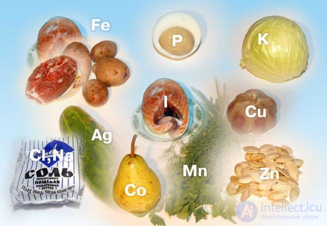 Water-Salt Metabolism in the Human Body