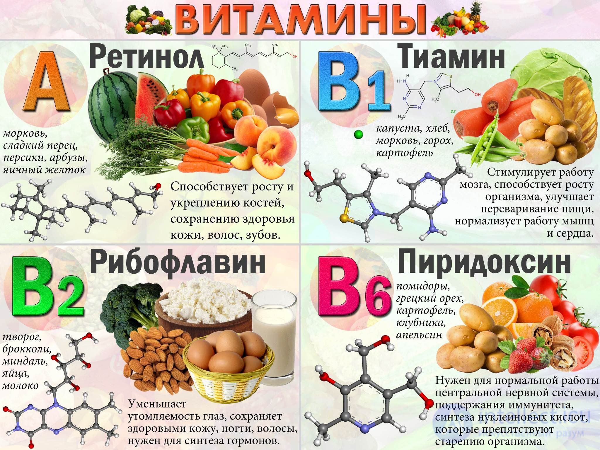 Vitamins and Their Role in the Human Body: Deficiency, Excess and Intake