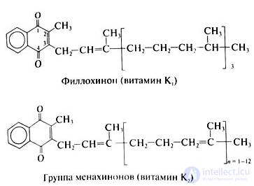Vitamins and Their Role in the Human Body: Deficiency, Excess and Intake