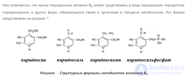 Vitamins and Their Role in the Human Body: Deficiency, Excess and Intake