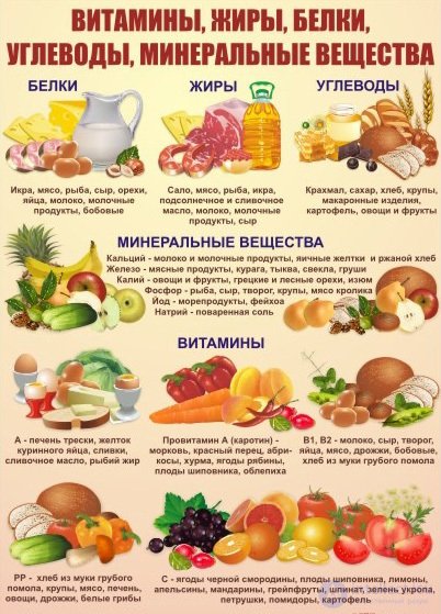 Vitamins and Their Role in the Human Body: Deficiency, Excess and Intake