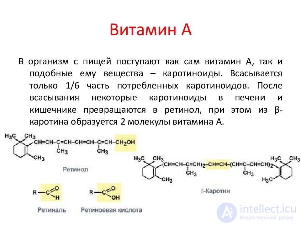 Vitamins and Their Role in the Human Body: Deficiency, Excess and Intake