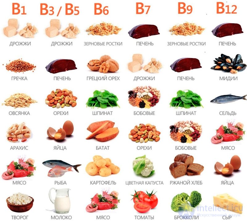 Vitamins and Their Role in the Human Body: Deficiency, Excess and Intake