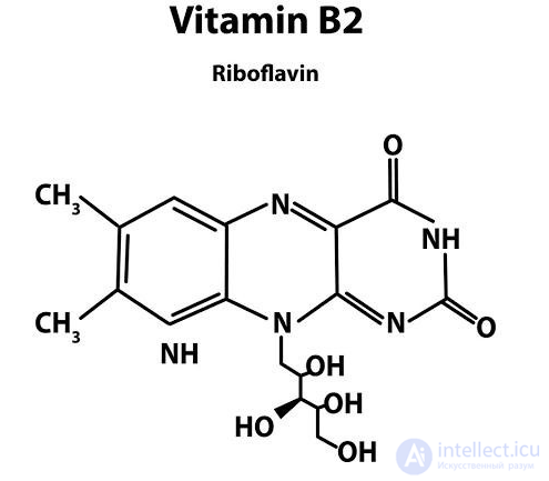 Vitamins and Their Role in the Human Body: Deficiency, Excess and Intake