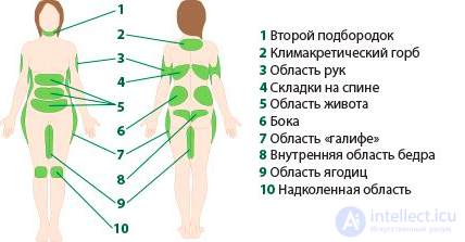 Body Fat Percentage: Measurement Methods, Analysis and How to Reduce It