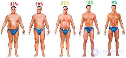 Body Fat Percentage: Measurement Methods, Analysis and How to Reduce It