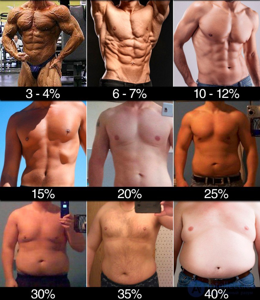 Body Fat Percentage: Measurement Methods, Analysis and How to Reduce It