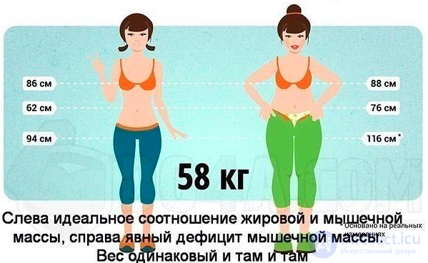 Body Fat Percentage: Measurement Methods, Analysis and How to Reduce It