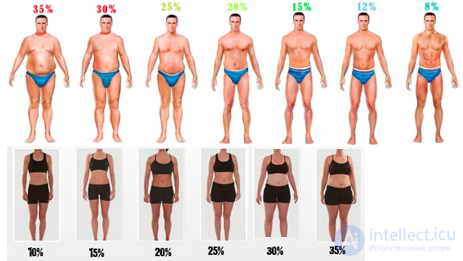 Body Fat Percentage: Measurement Methods, Analysis and How to Reduce It
