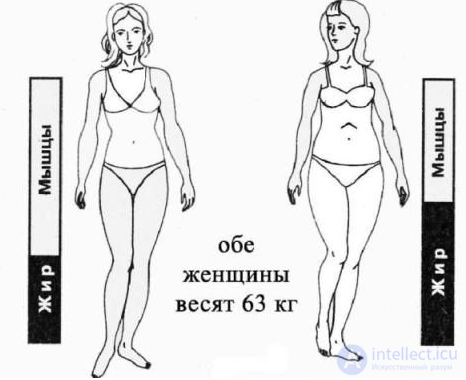 Body Fat Percentage: Measurement Methods, Analysis and How to Reduce It