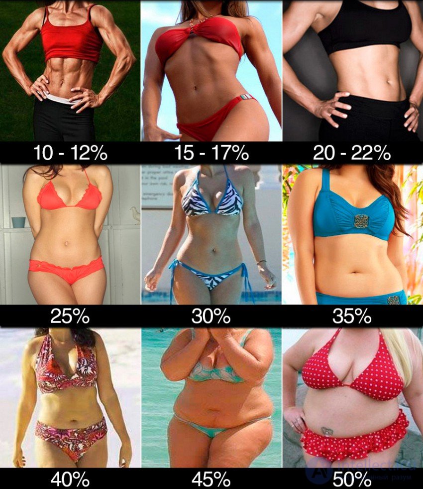 Body Fat Percentage: Measurement Methods, Analysis and How to Reduce It
