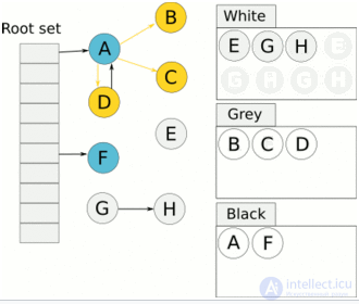 Tracing Garbage Collection: Garbage Collection in Programming and Memory Leaks