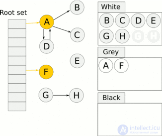 Tracing Garbage Collection: Garbage Collection in Programming and Memory Leaks