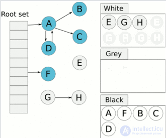 Tracing Garbage Collection: Garbage Collection in Programming and Memory Leaks