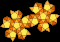 The Archimedean Solids