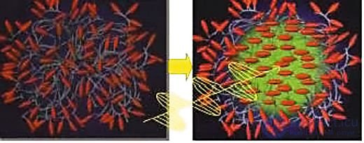 Holographic Storage Devices