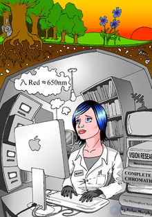 Marys Room as a Thought Experiment: Mary Studies Color