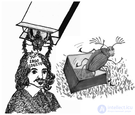 The Beetle in a Box as a Thought Experiment