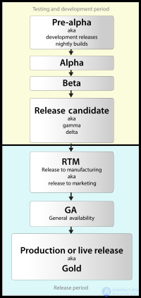 Video Game Development: Process, Roles, Careers, and Marketing