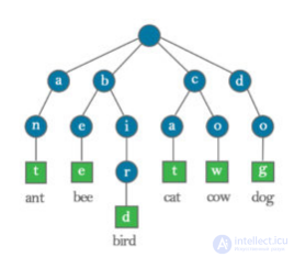 Data Structures and Algorithms: Concepts and Types