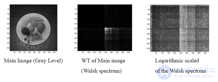 Walsh Functions and the Walsh-Hadamard Transform