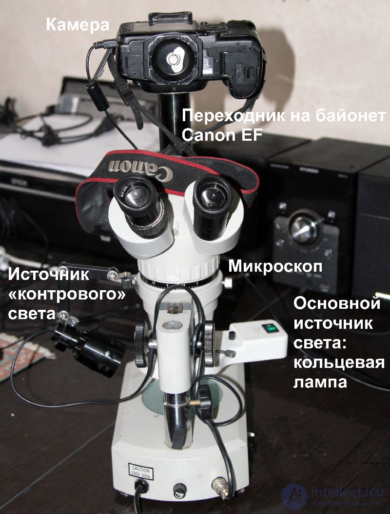 Hard Disk Head Wear: Diagnosis and Assessment