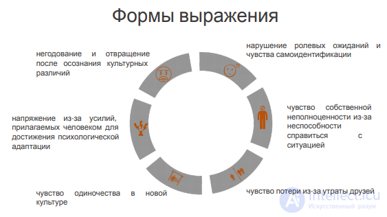 4. Culture Shock