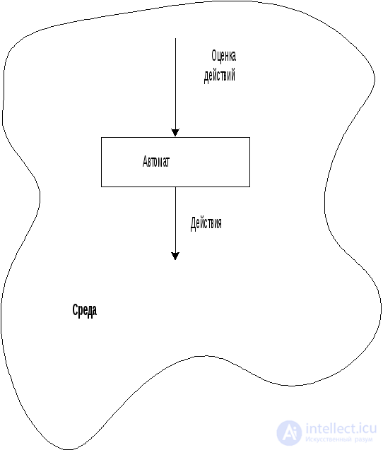 Simple Automata: Deterministic and Probabilistic Automata