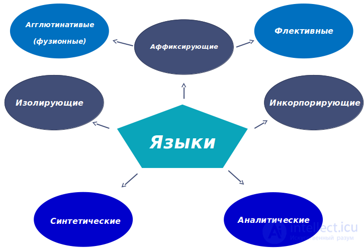 Sociolinguistics Tests with Answers and Diagrams