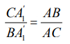 The Antibisector of a Triangle Angle