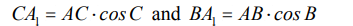 The Antibisector of a Triangle Angle