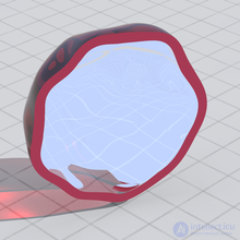 Parallel Curves