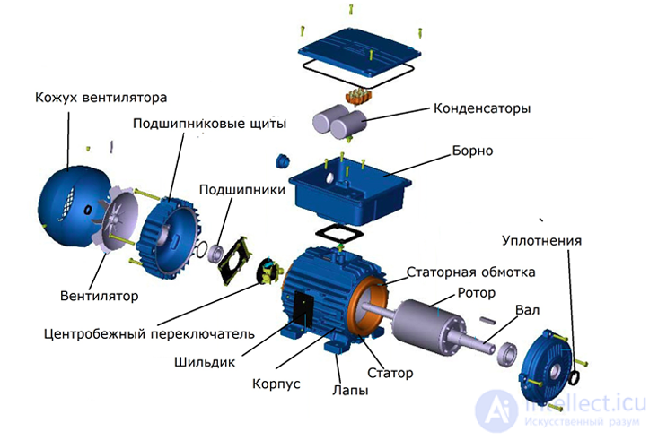 The AC Asynchronous (Induction) Motor
