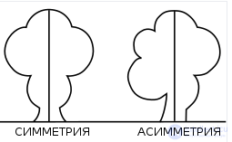 Asymmetry