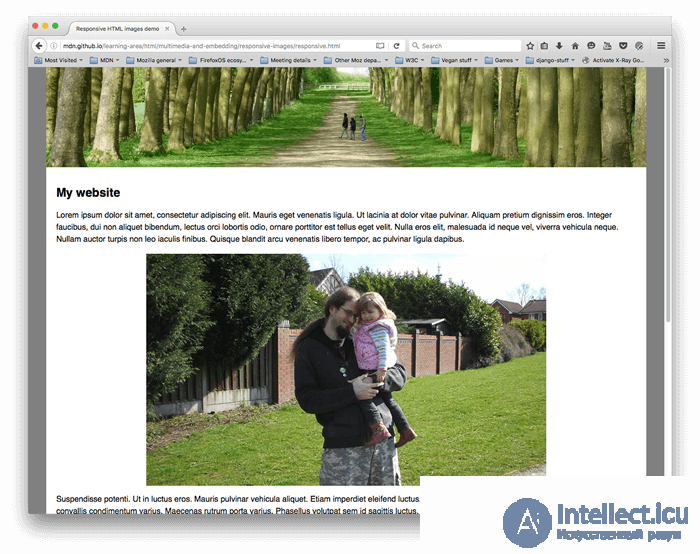 Responsive Images. Resolution Switching: Different Sizes, the srcset and sizes Attributes, the picture Element