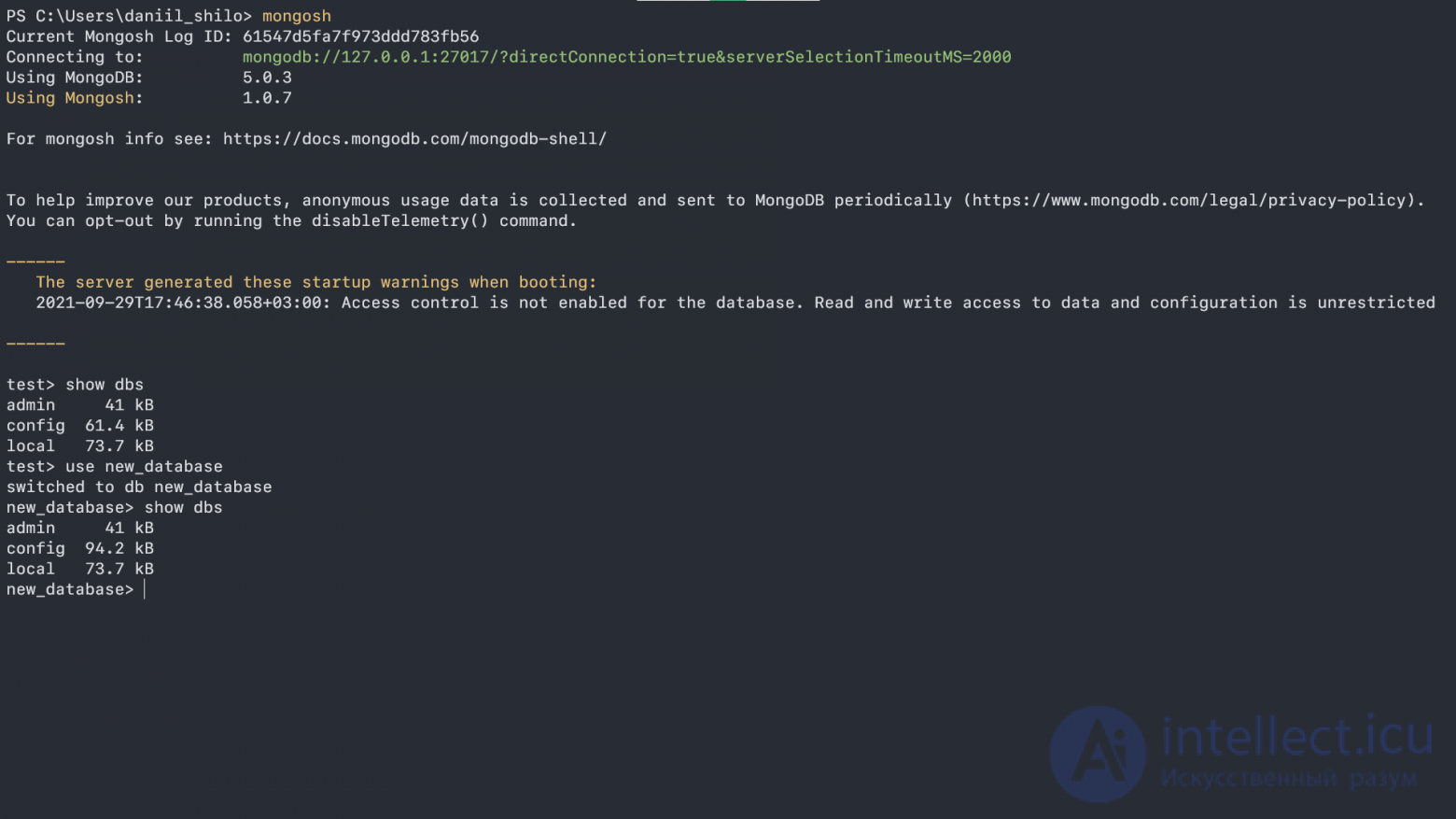 MongoDB basics- collections and documents, working in the shell, basic operations